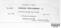Aecidium pentastemonis image